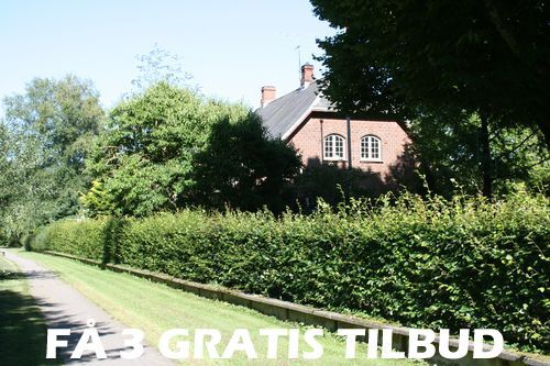 Billig advokat Skanderborg